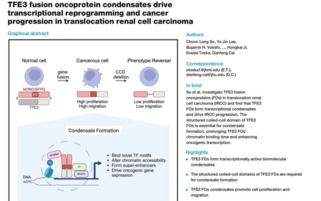 Toska and Cai labs collaboration published in Cell Reports!